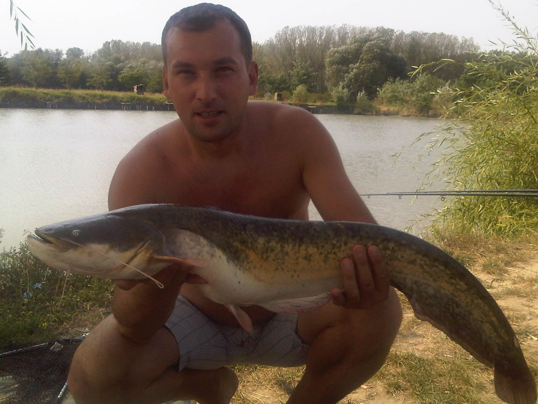 2013 - img00173-20110916-1232.jpg